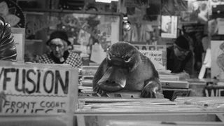 Black and white photo of Barry the platypus perusing records