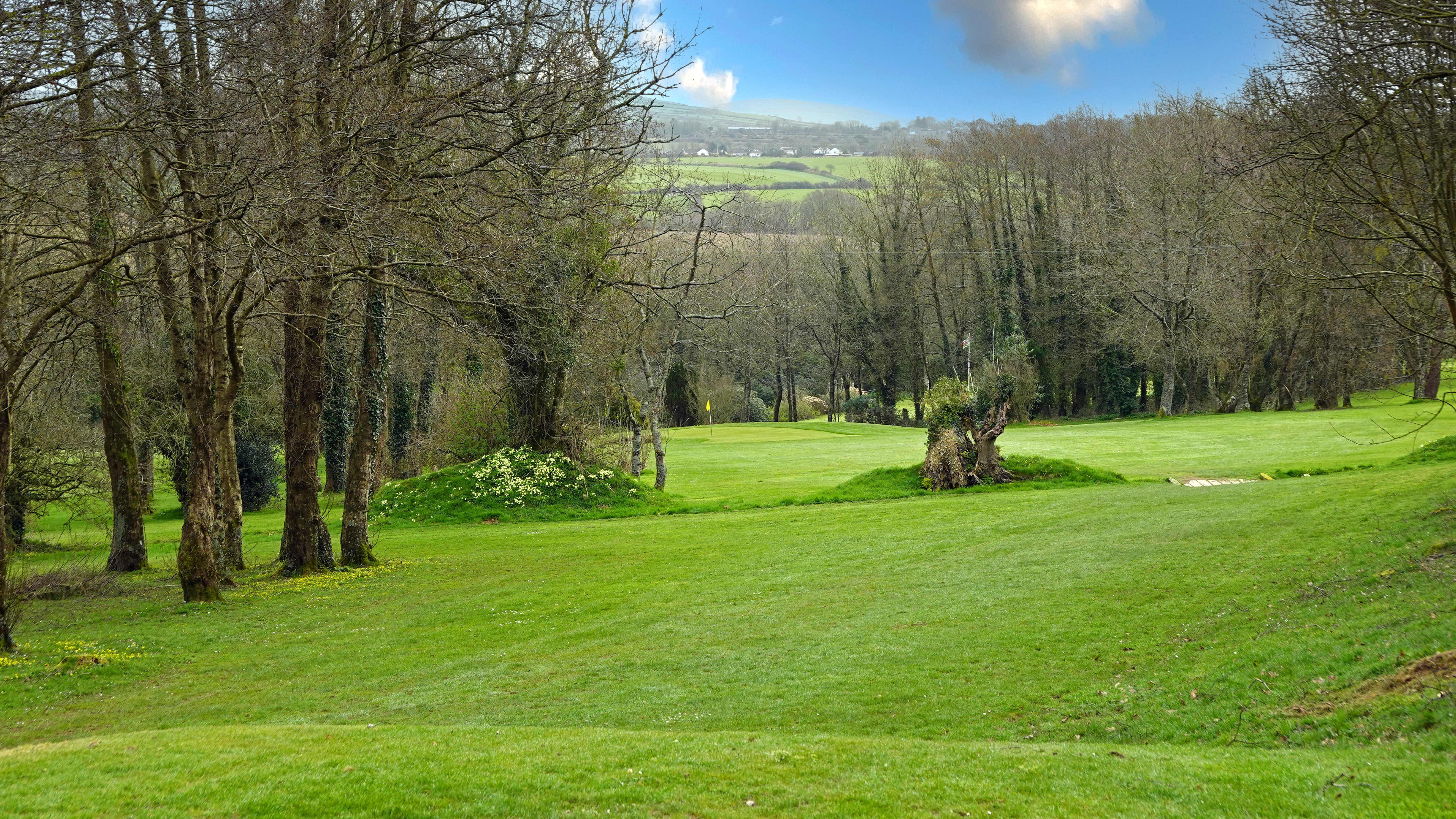 Priskilly Forest - Hole 2