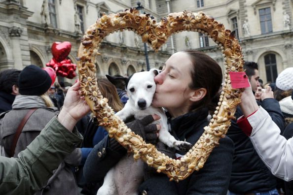 Dogs can judge humans. 