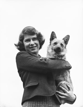 Susan was one of the first Corgis given to the young Elizabeth