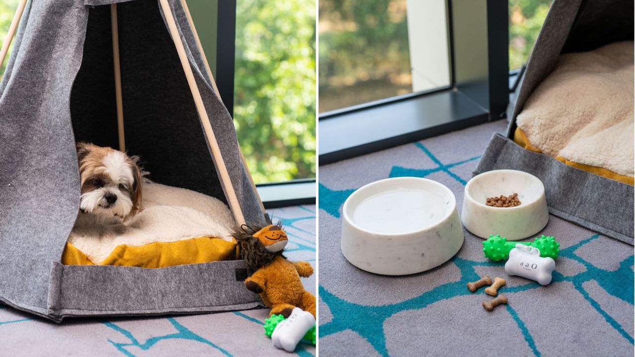 The dog friendly journey at Dao by Dorsett West London