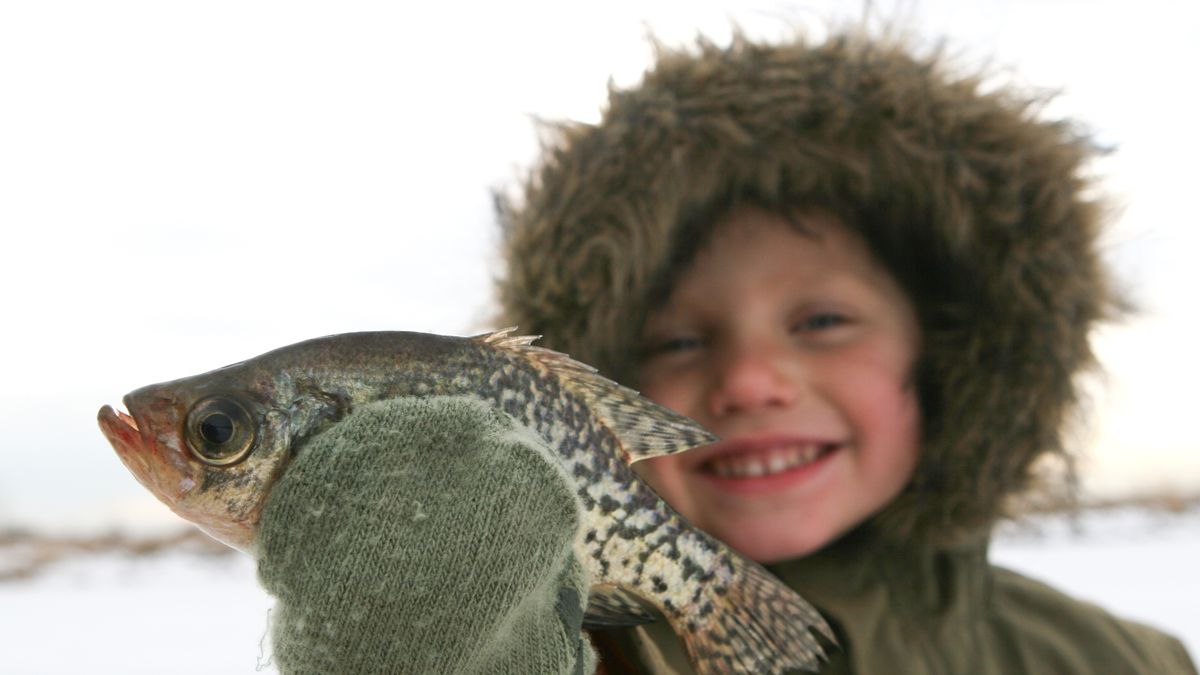 How to use a fish finder for ice fishing a complete guide for