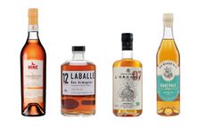 Four bottles against a white background