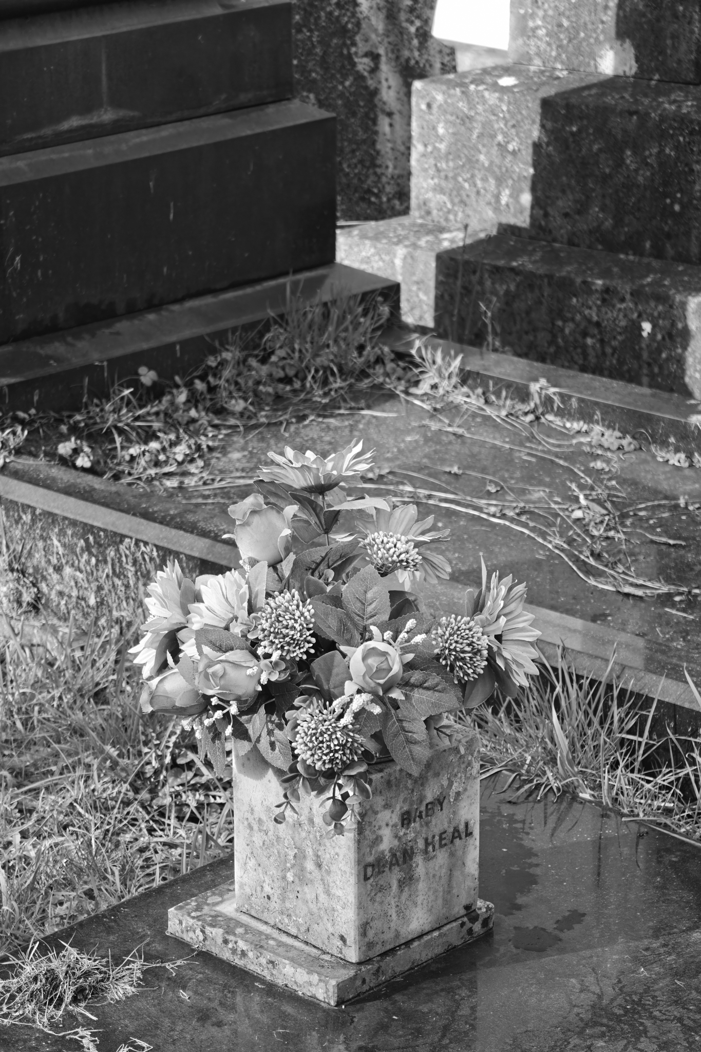 Leica Q3 Monochrom vs Leica Leitzphone comparison