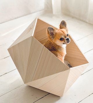 It is a home for pet dog made of wood