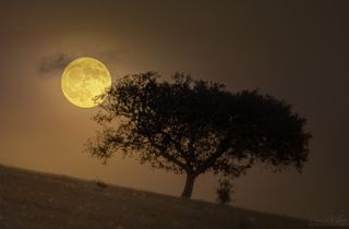 A single shot photo features a golden full moon rising above the landscape of Alandroal, in Portugal's Dark Sky Alqueva Reserve, on Nov. 12, 2019.