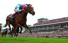 missing ring longchamp