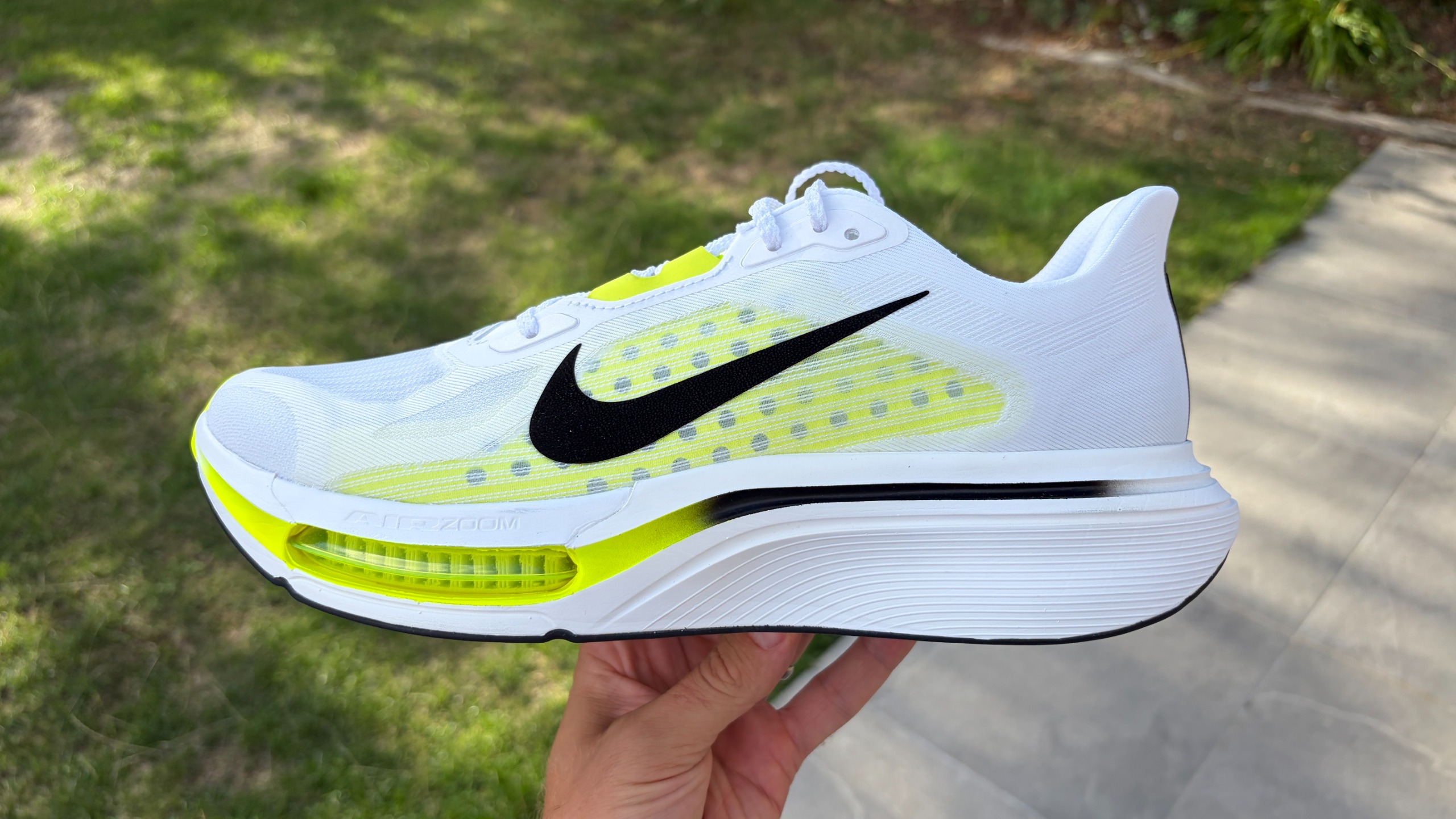 Nike Pegasus Plus 2