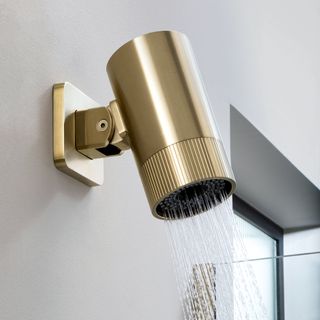 Gold pivot shower head with jets. ofwater