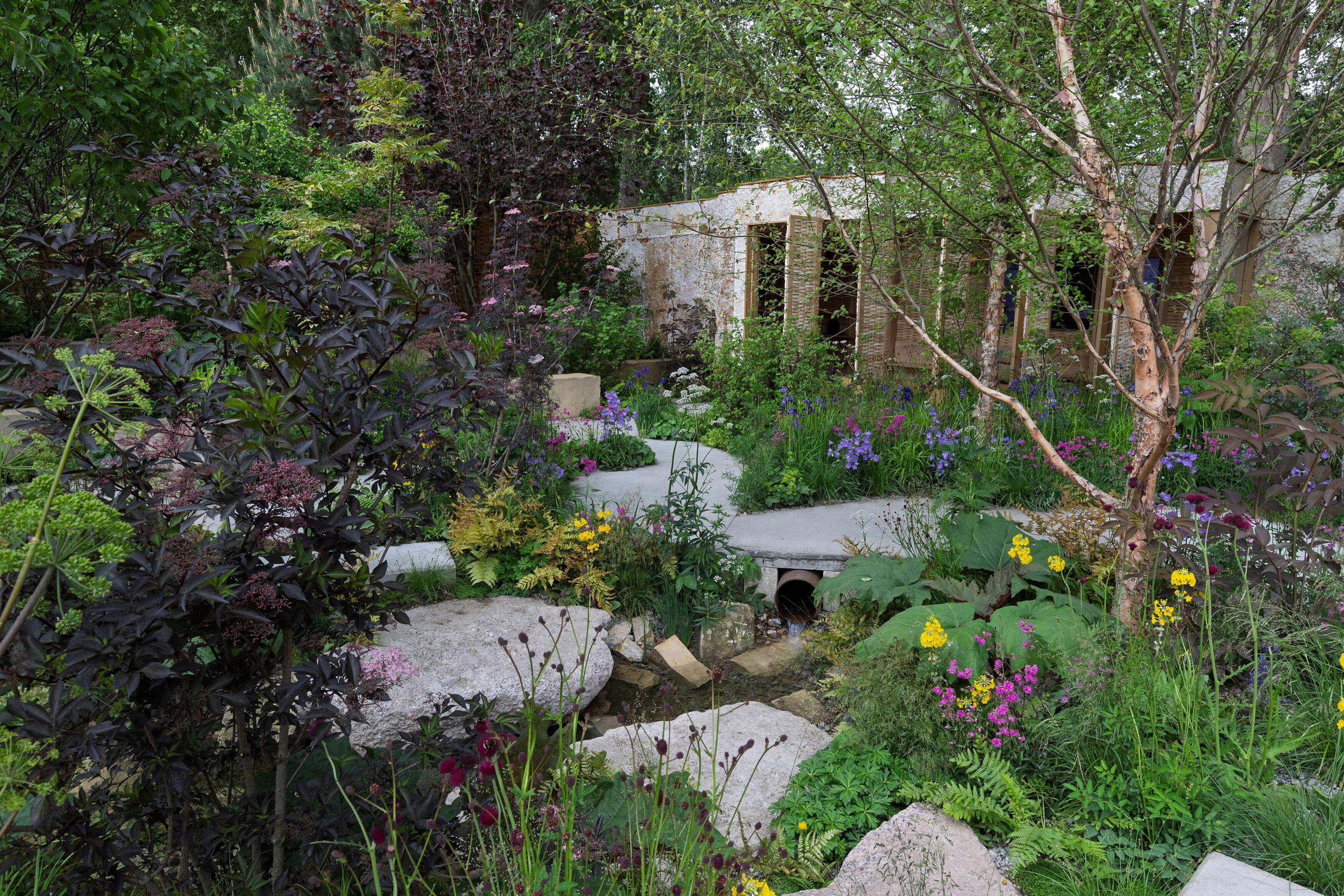 Tom Massey & Je Ahn's Chelsea Flower Show 2025 show Avanade Intelligent Garden