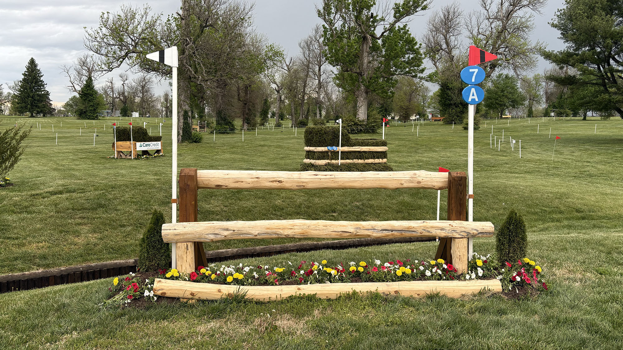 7a