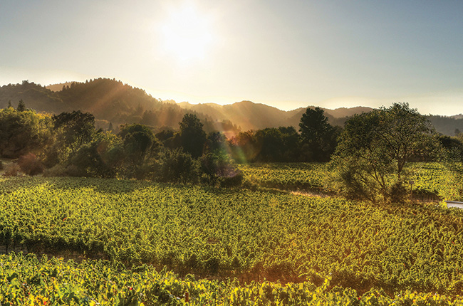 California&rsquo;s best Zinfandels