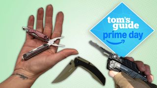 A selection of pocket knives