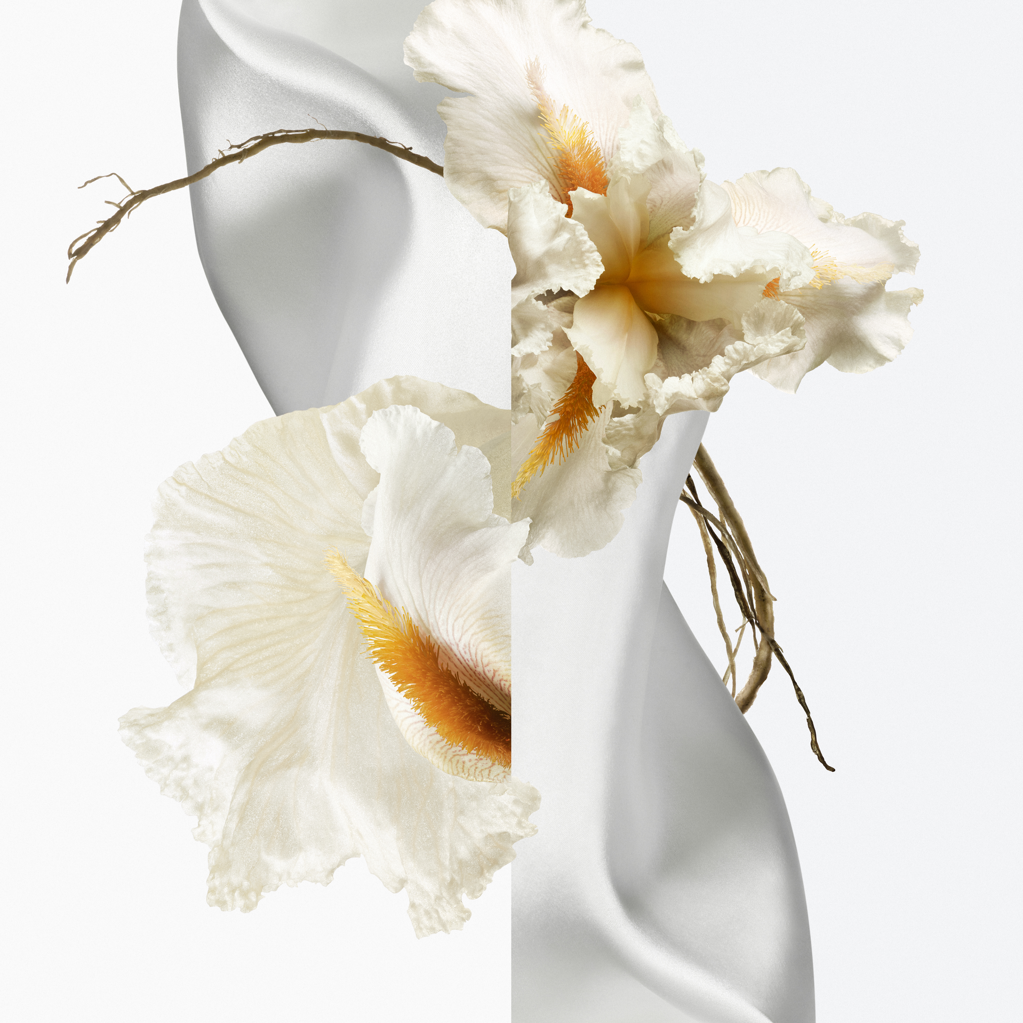 Herm&amp;egrave;s fragrance