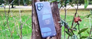 The Fairphone 5 leaning on a tree stump.