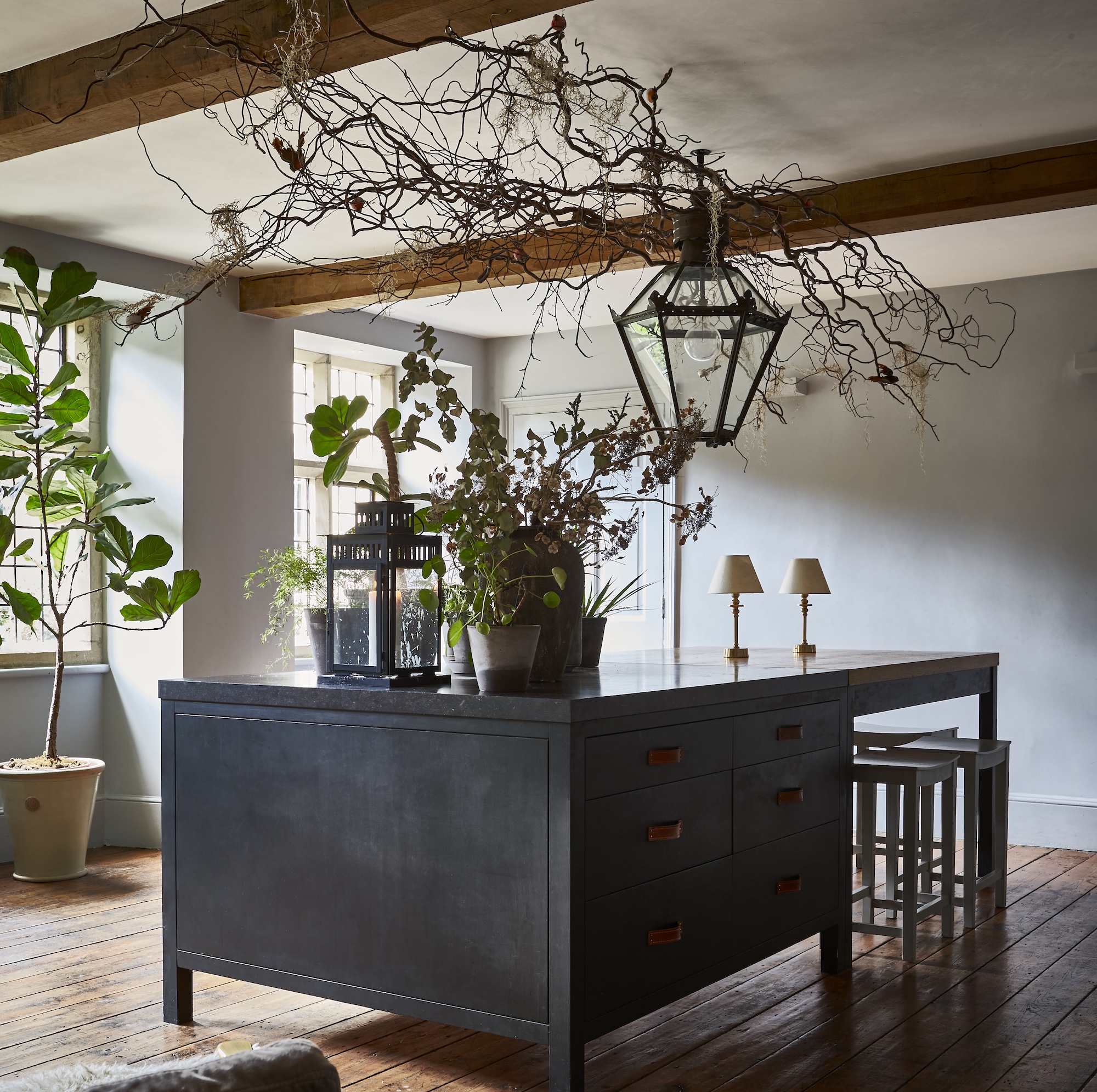 large black kitchen island with houseplants on surface and branches suspended from ceiling above