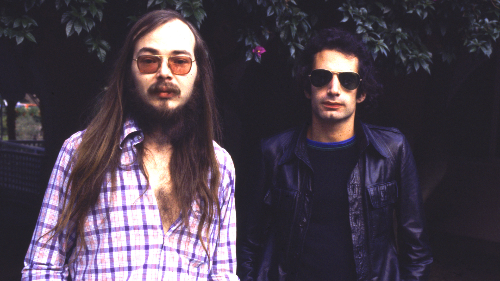 Steely Dan