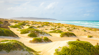 View of beach in Boa Vista, Cape Verde.