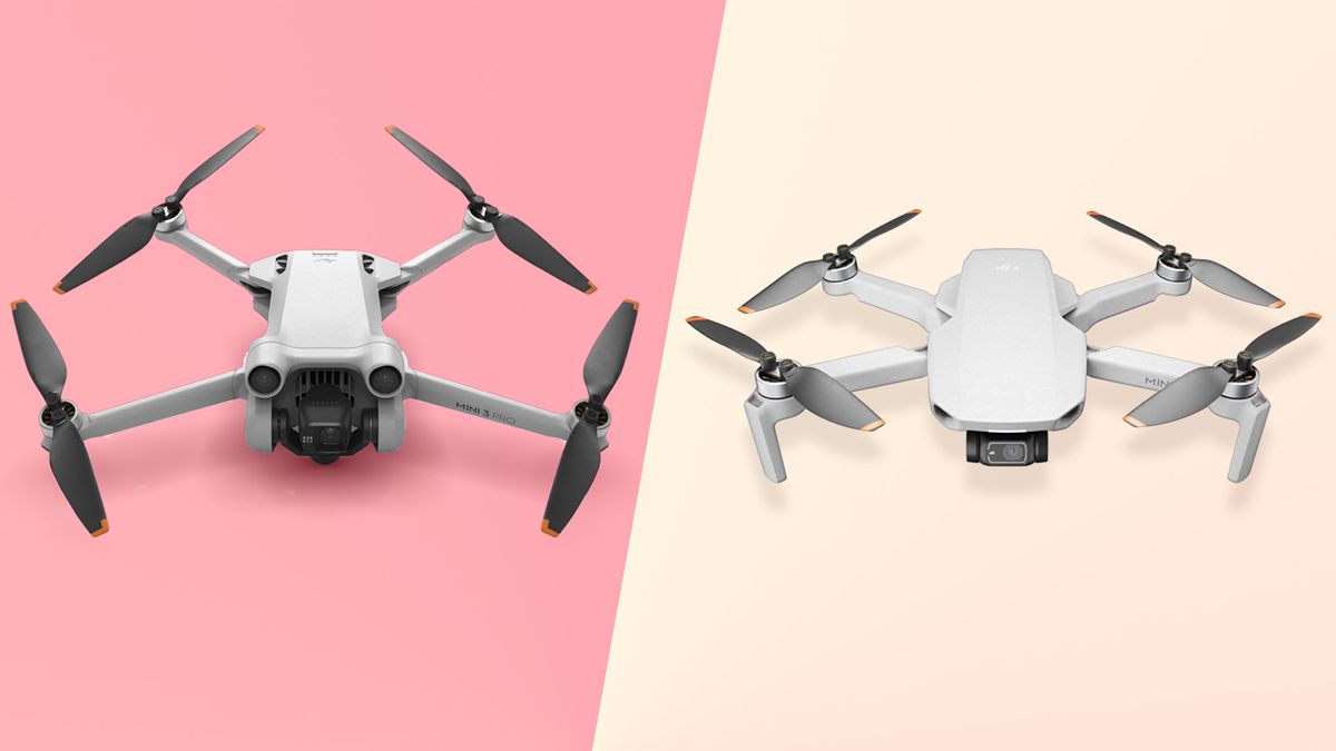 Mini DJI small DJI vs 2: you? the Pro Mini best is | which for TechRadar drone 3