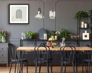 Grey dining room with houseplants