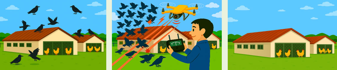 A laser system to scare away wild birds and animals