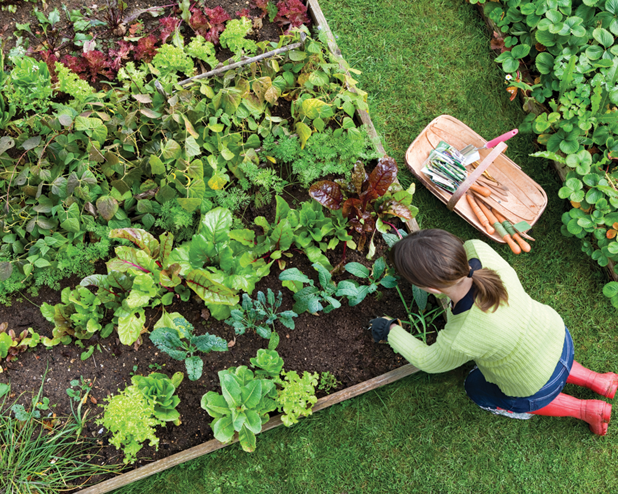 Woman gardening at raised bed filled with vegetables