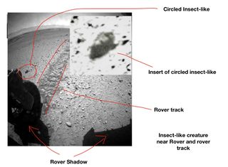 Professor William Romoser recently suggested that images taken by Mars rovers show proof for life on Mars. Expert scientists have so far refuted this claim.