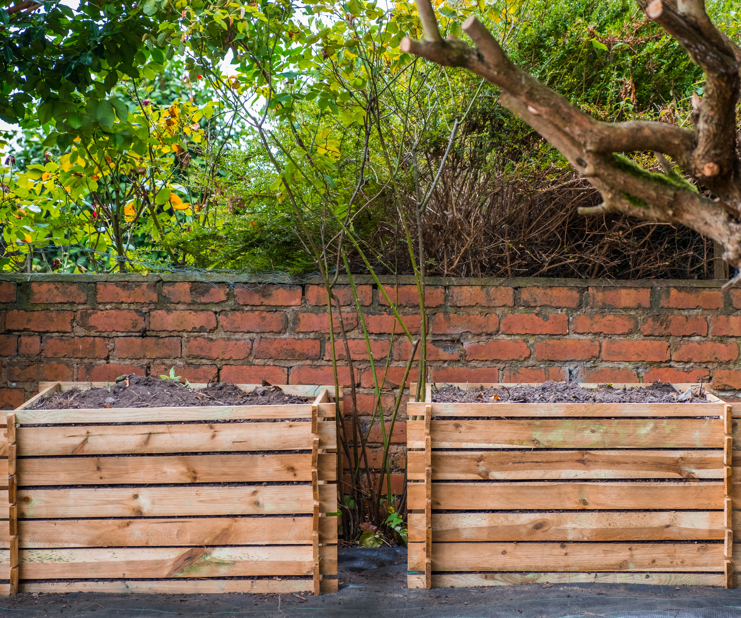 Two wooden compost bins in front of a red brick wall with trees above and to the right hand side