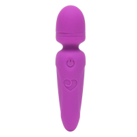 Lovehoney Ignite 20 Function Mini-Wand Vibrator