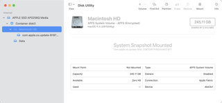 macOS Big Sur Disk Utility