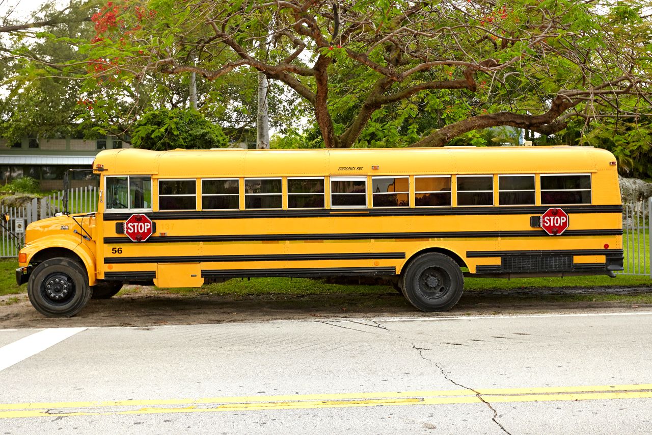 A school bus.