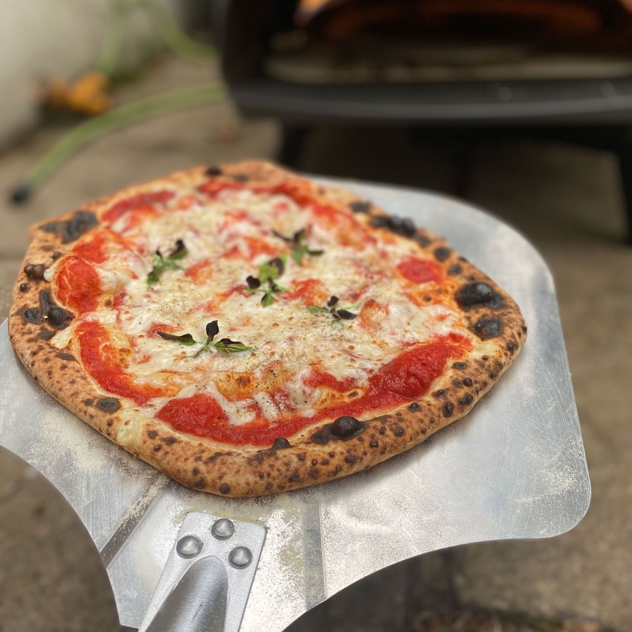 witt pizza oven with pizza