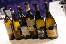 Line Up Wine Experiences 2026