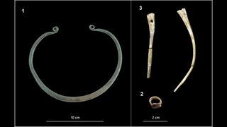 The elite woman's grave goods included a bronze neck ring (1), gold hair ring (2) and bone pins/needles (3).