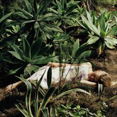 A girl asleep in long grass