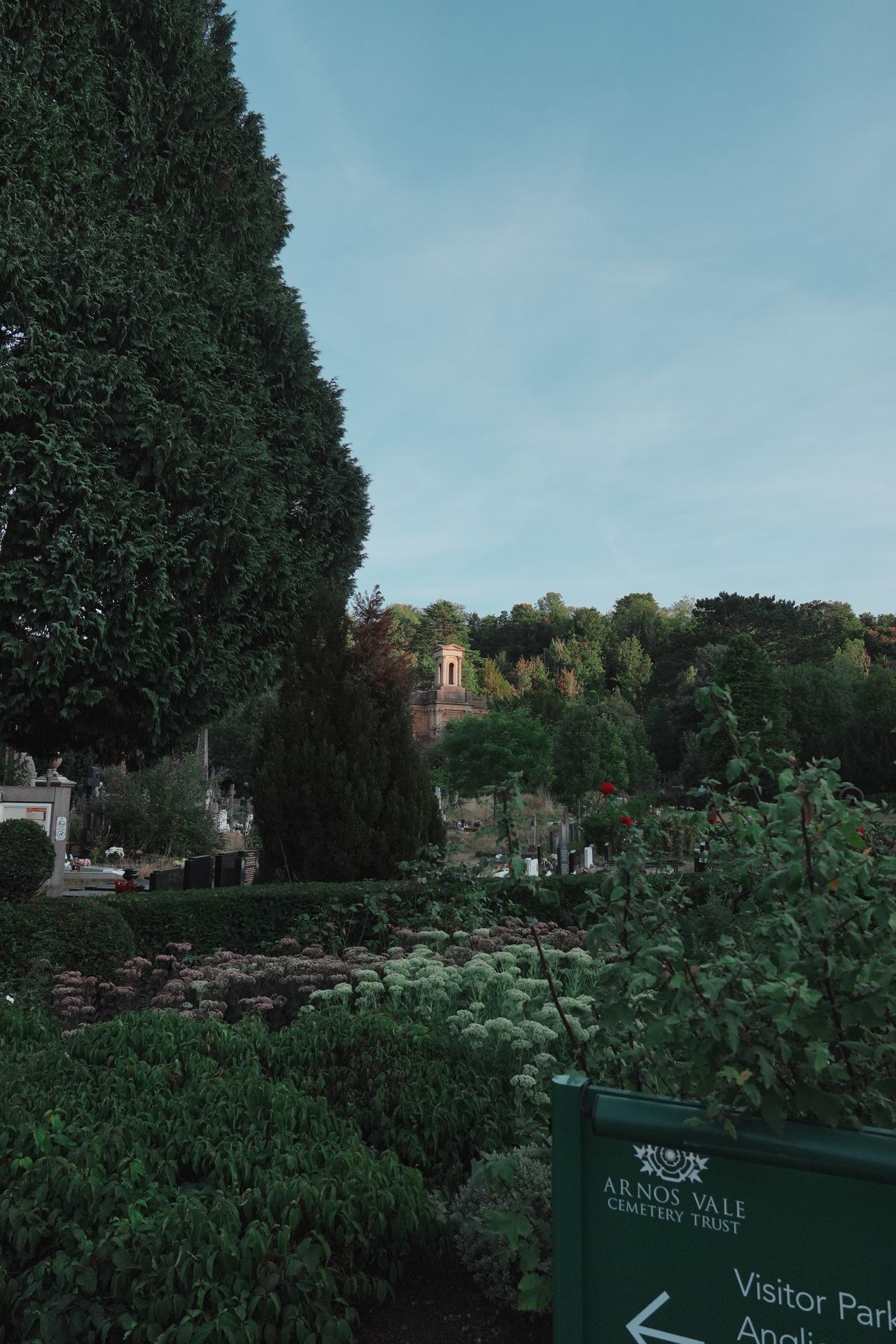 A photo taken on a Sony RX10 V bridge camera