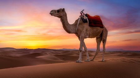 Jakub Bors explains how to get great shots in the desert like this