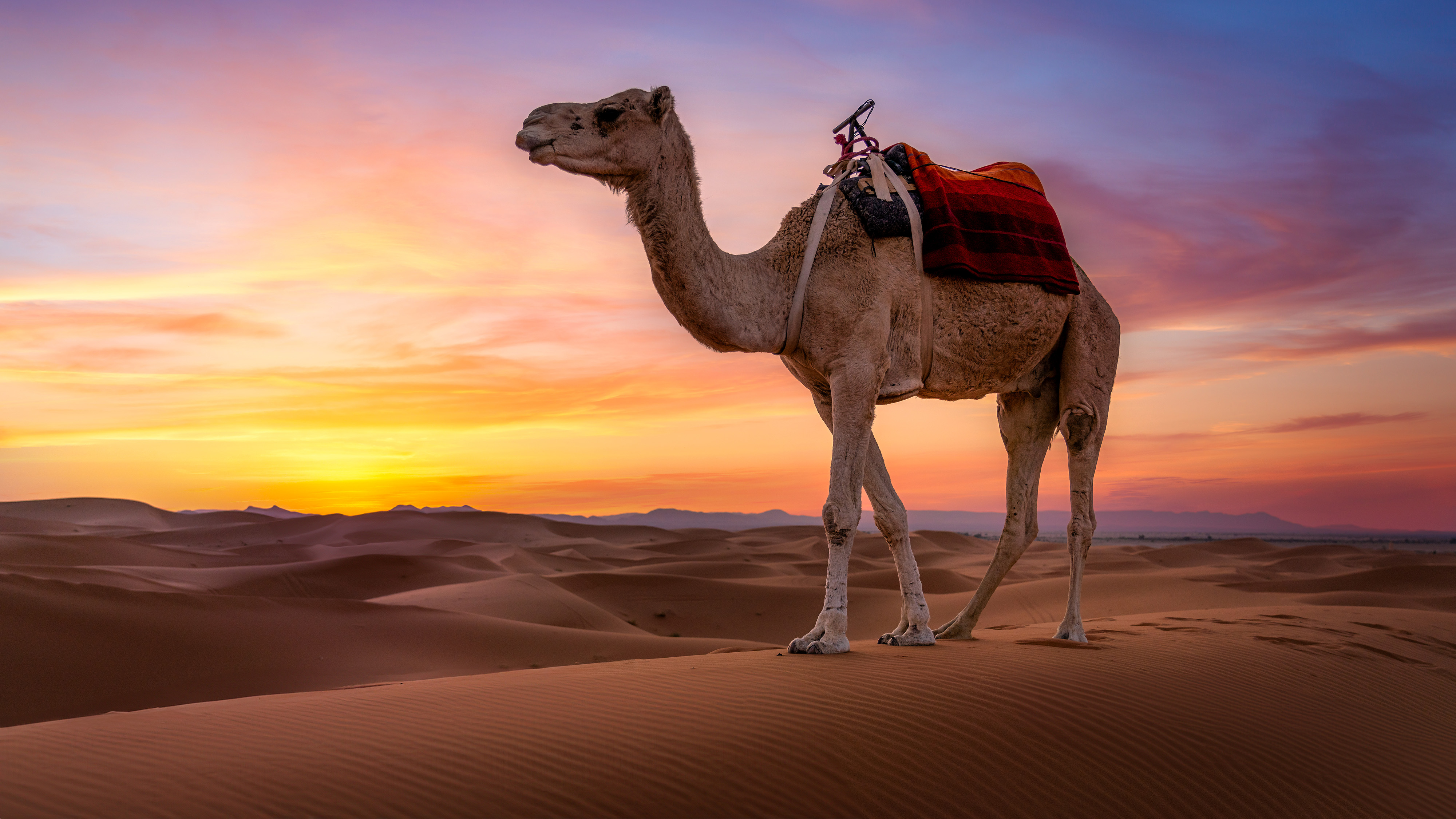 Jakub Bors explains how to get great shots in the desert like this