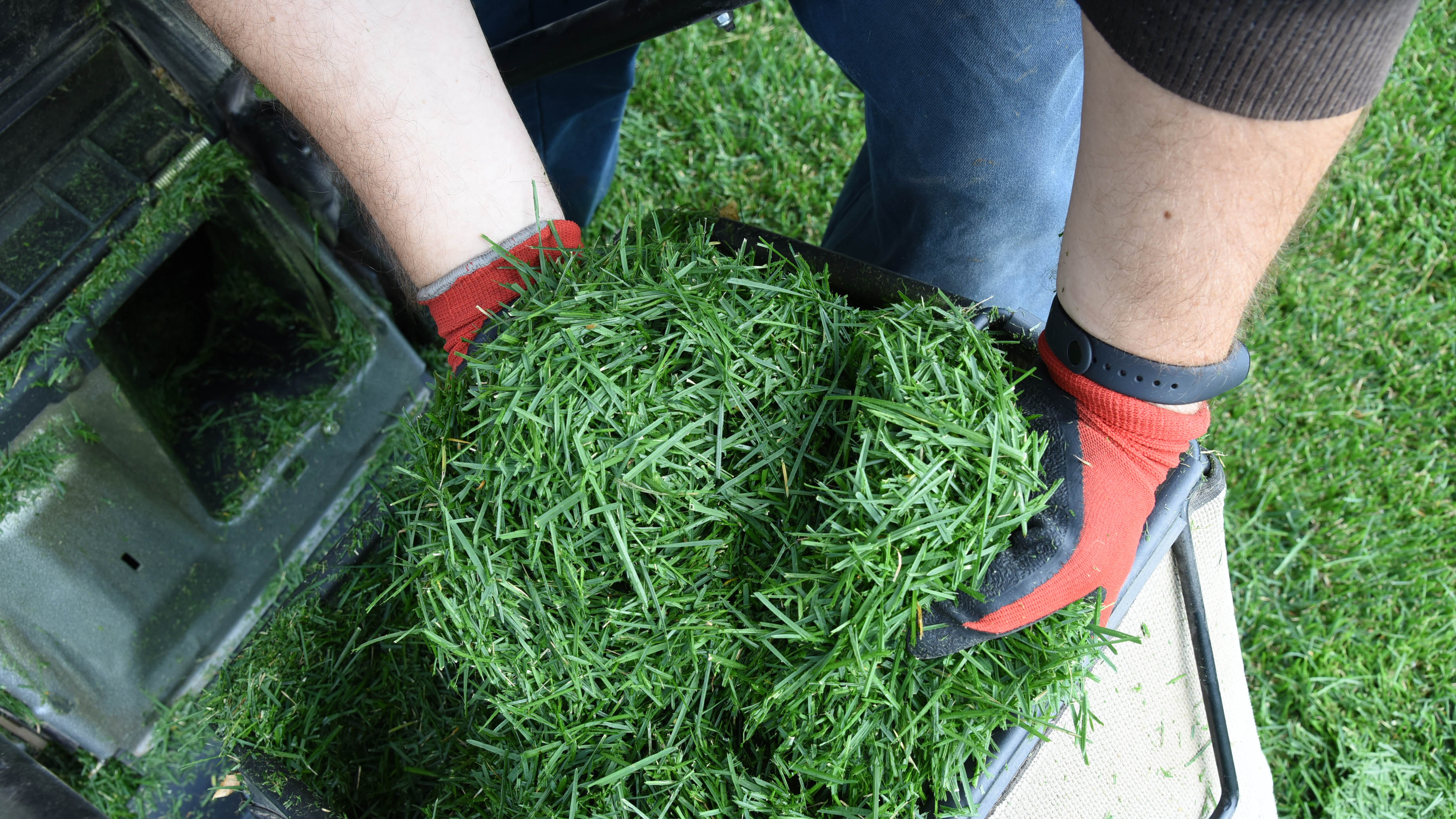 Holding grass clippings