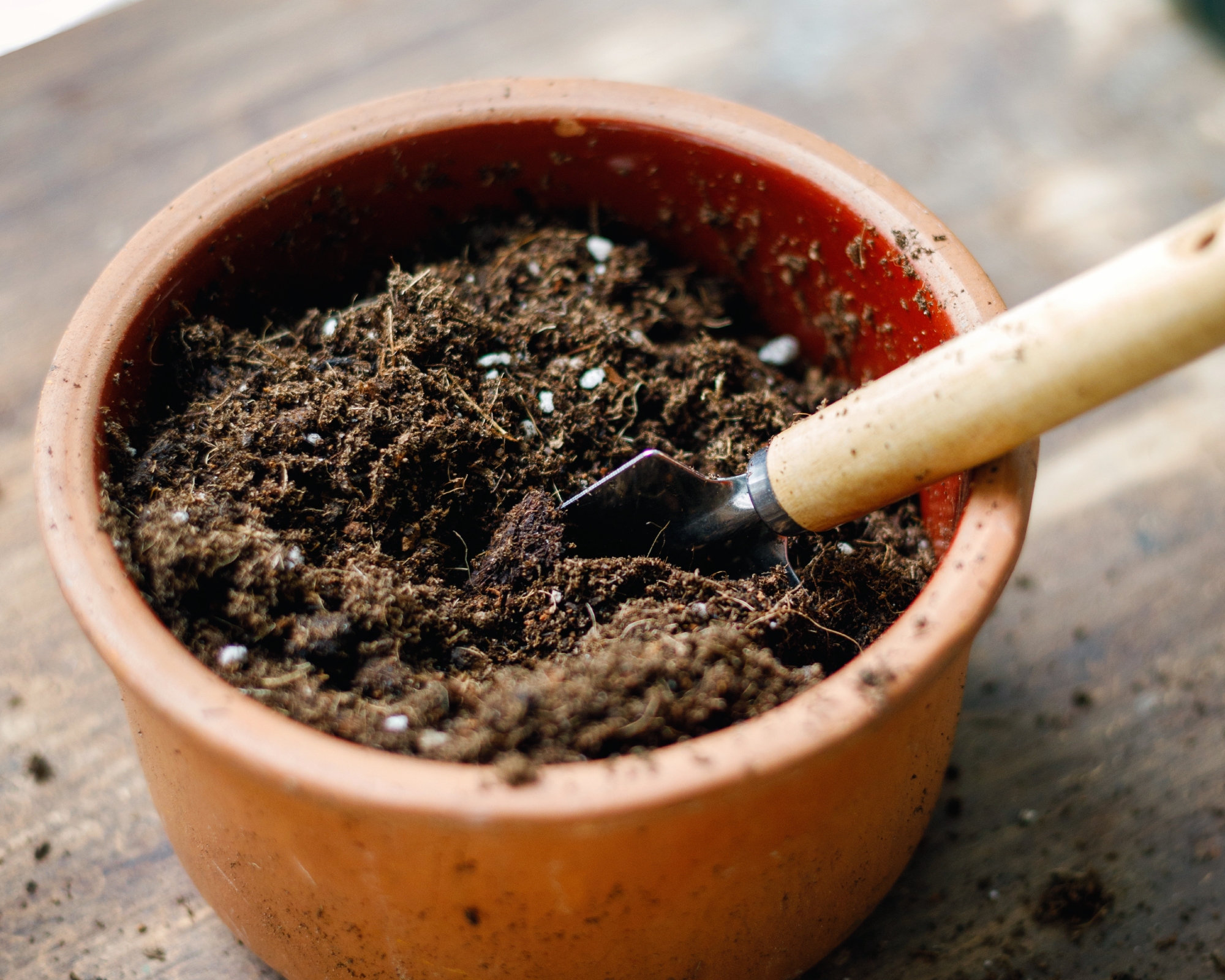 small pot of potting soil with hand trowel