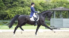 LESLEY PEYTON GILBERT 53384 ROB ROY