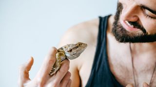 Bearded dragon being held by a man