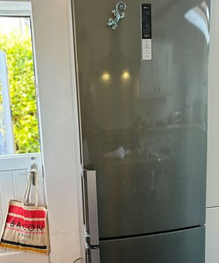 stainless steel fridge freezer with stable door