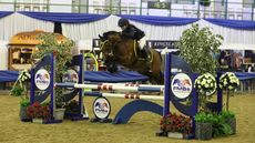 Blue Chip Winter Championships 2019 31 - Eskadron Pony Discovery Championship 0 95m 0888 - Cottown Little Rupert and Elizabeth Galliers
