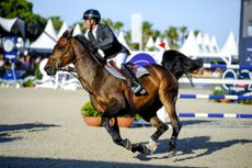 Showjumping news: Julien Epaillard of France riding the barefoot Donatello D'Auge win the Longines Global Champions Tour grand prix of Saint Tropez