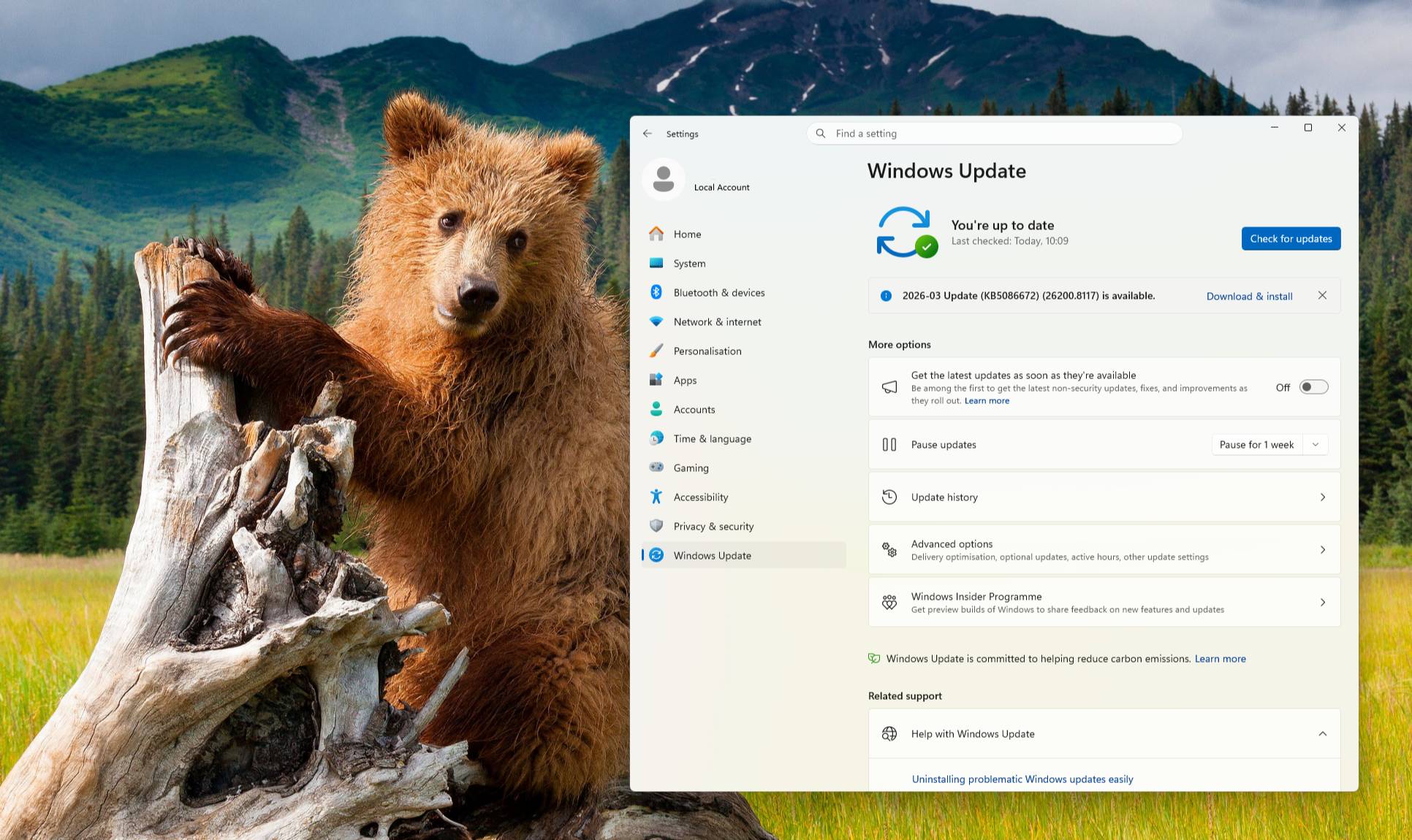 A screen shot of a Windows 11 user's desktop. The wallpaper is a photograph of a bear clinging to a tree stump. Over the top of this is the Windows Update pane accessed from the Settings menu.