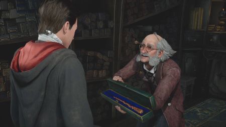 Hogwarts Legacy House and wand