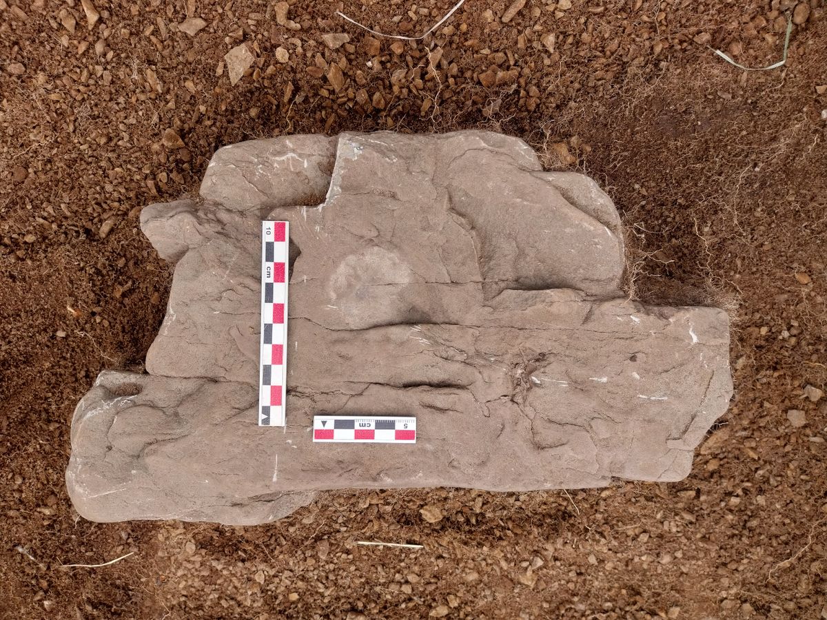 Images from a recent study that unearthed a silver coin