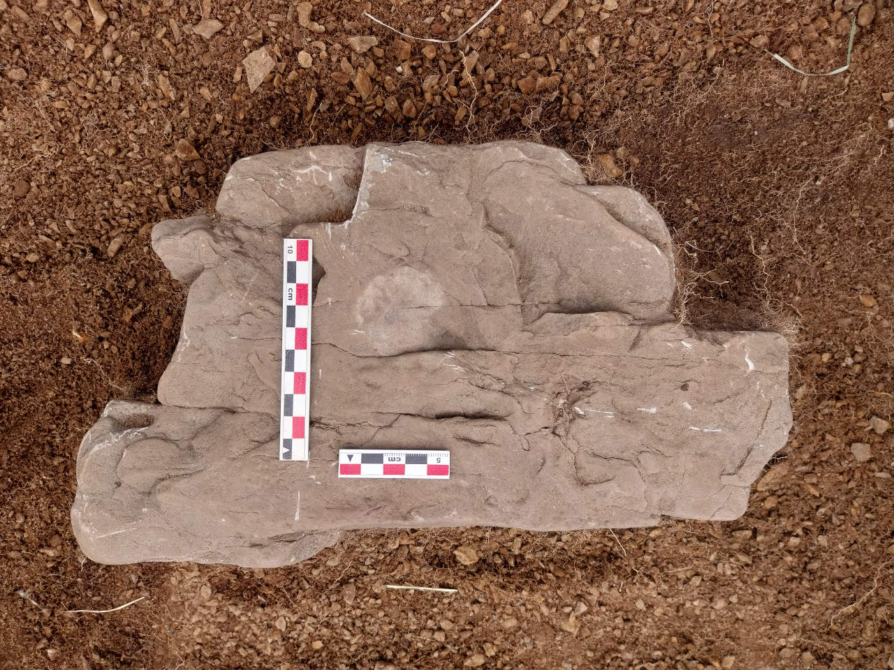 Images from a recent study that unearthed a silver coin