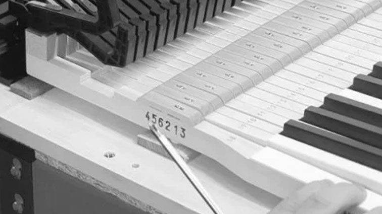 New Rhodes electric piano